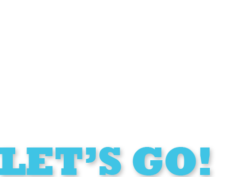 COMFY(Pet Taxi) Pet Chauffeur Service For Your Precious Pets a comfortable van trip